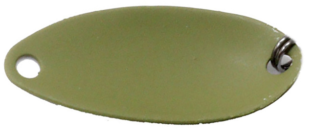 17 アングラーズドリームバイト エイエン