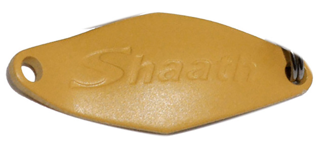 33 サウリブ シャース　ダウンサイジング