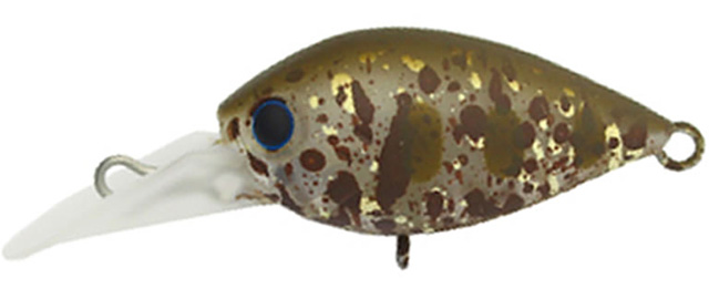 57 ディスプラウト チャタクラDR