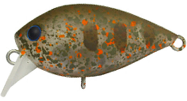 58 ディスプラウト ファットチャタクラ