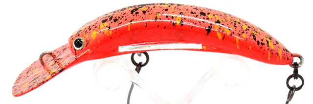 60 ディスプラウト ガメクラ