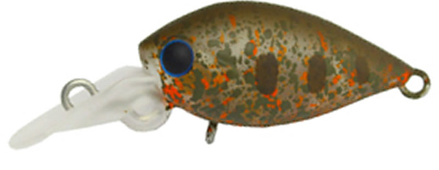 61 ディスプラウト ピコチャタクラ